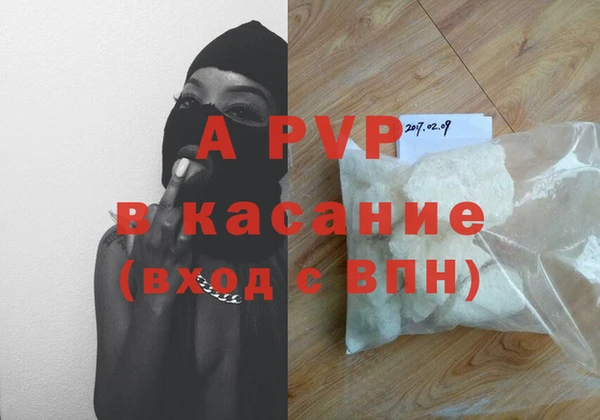 прущие грибы Баксан