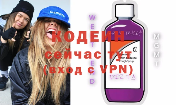 мдпв Рославль