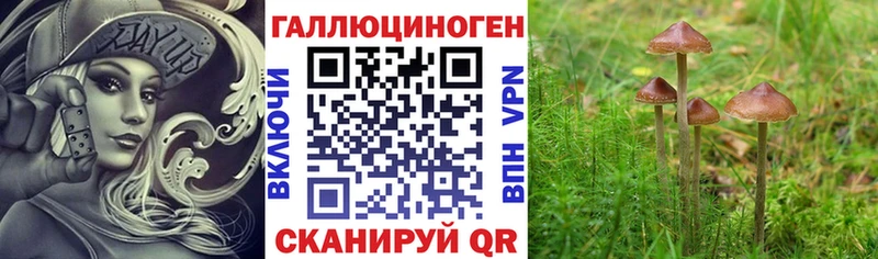 Псилоцибиновые грибы мухоморы  закладки  hydra как зайти  Севск 