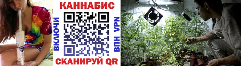 Конопля VHQ  Севск 